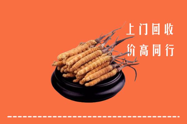附近收购：猇亭区冬虫夏草回收多少钱每克