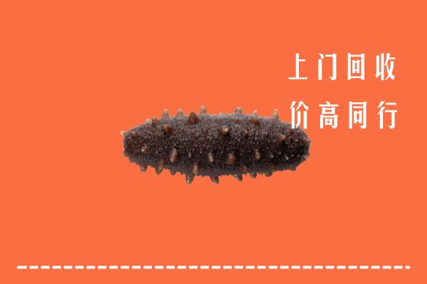 猇亭区回收海参