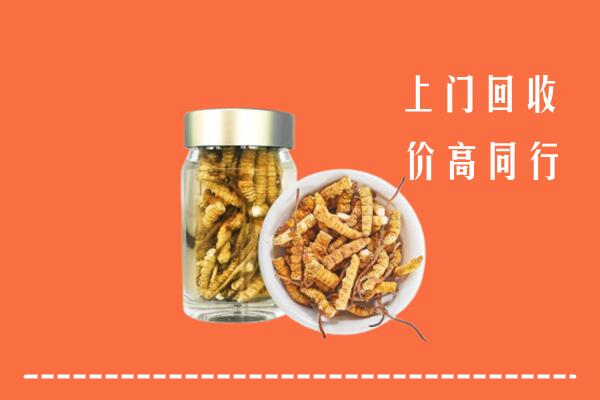 猇亭区回收冬虫夏草